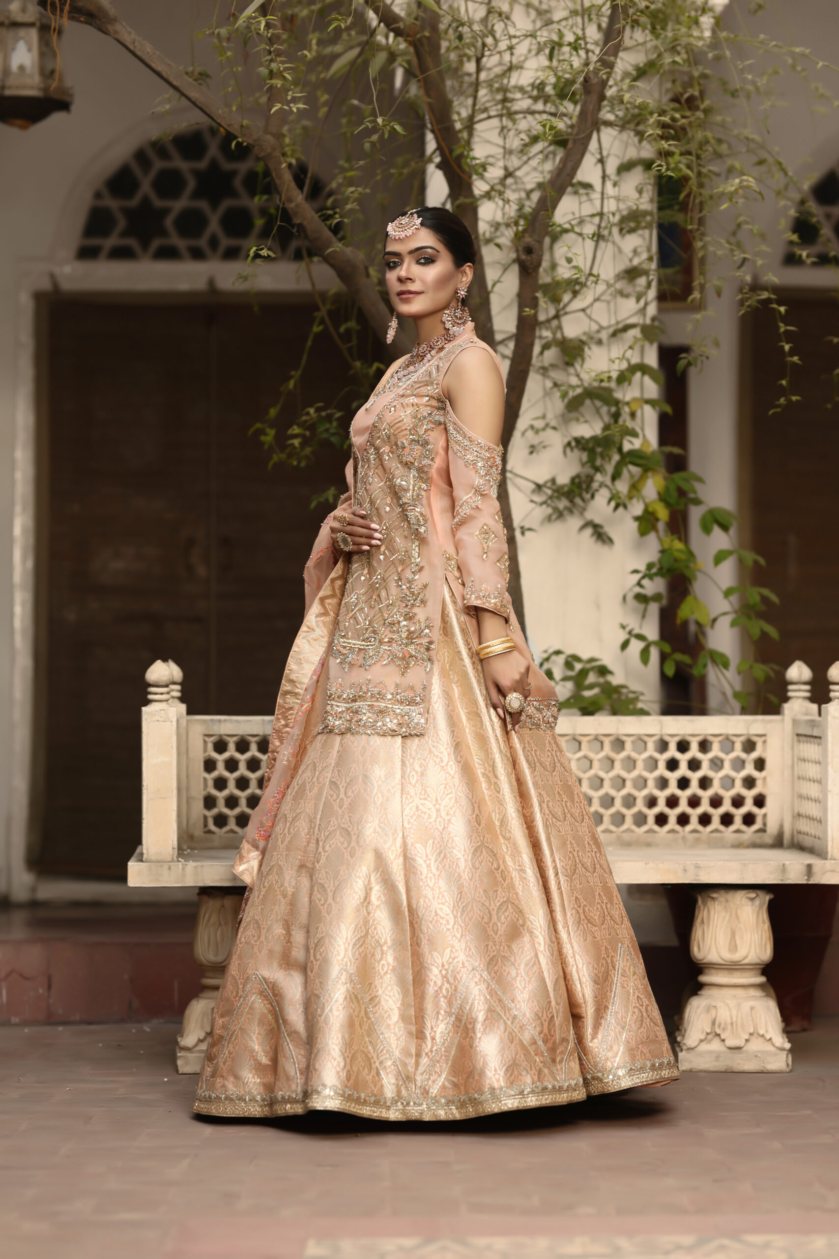 Blush Gold Radiance – Embellished Cold-Shoulder Bridal Set in Jamawar and Net view 2