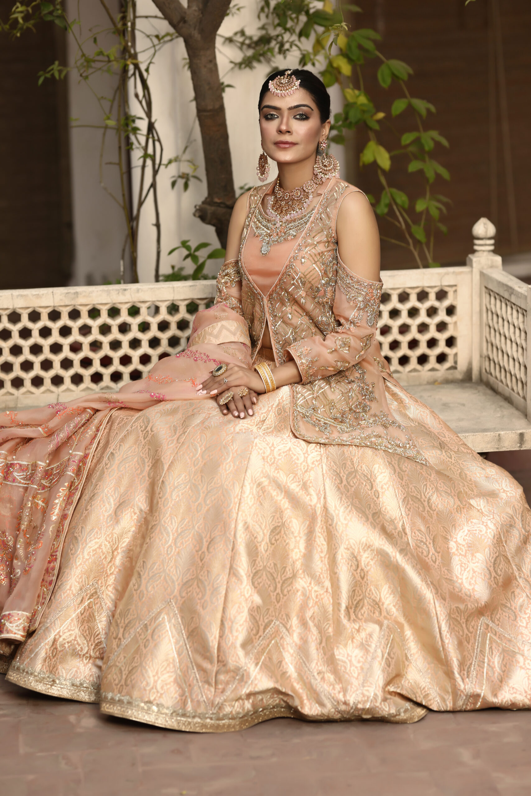 Blush Gold Radiance – Embellished Cold-Shoulder Bridal Set in Jamawar and Net view 3