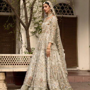 Grandeur & Opulence - Dreamy Bridal Attire